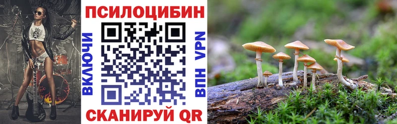 OMG вход  Черняховск  Галлюциногенные грибы прущие грибы 