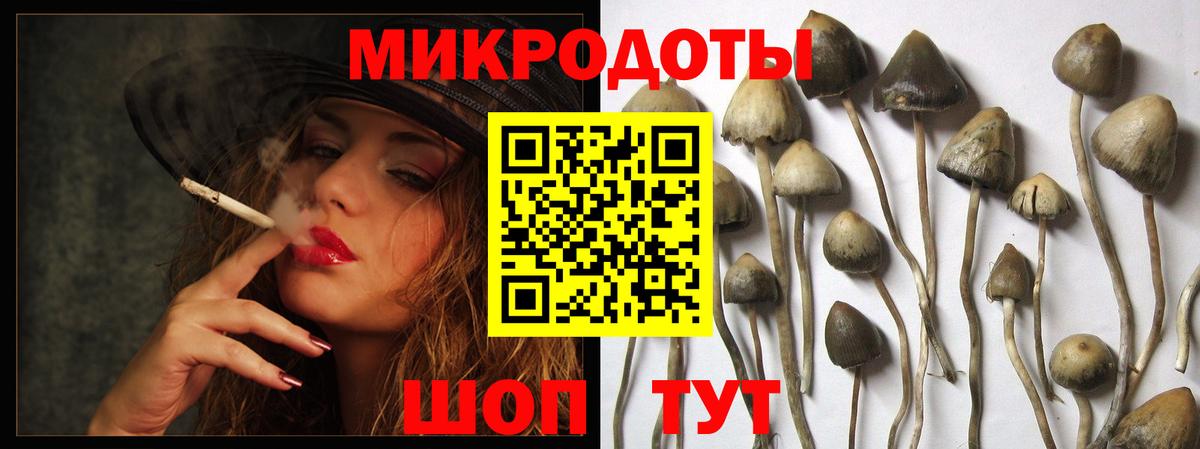 Черняховск  Галлюциногенные грибы GOLDEN TEACHER  Вход с VPN 